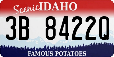 ID license plate 3B8422Q