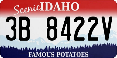 ID license plate 3B8422V