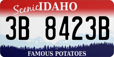 ID license plate 3B8423B