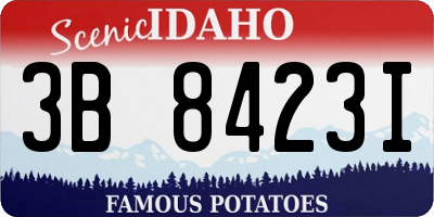 ID license plate 3B8423I