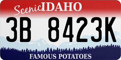 ID license plate 3B8423K