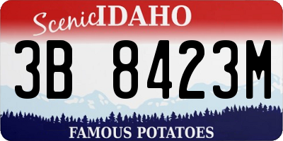 ID license plate 3B8423M