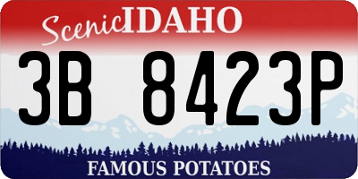 ID license plate 3B8423P