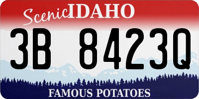 ID license plate 3B8423Q