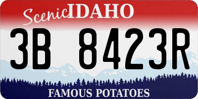ID license plate 3B8423R