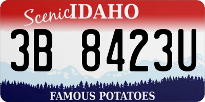 ID license plate 3B8423U