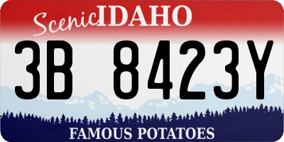 ID license plate 3B8423Y