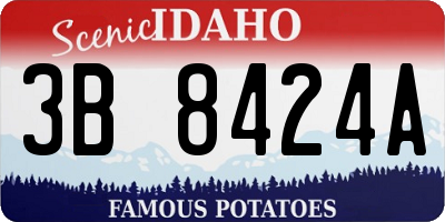 ID license plate 3B8424A