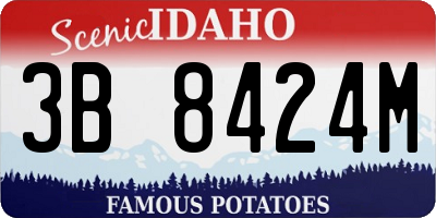 ID license plate 3B8424M