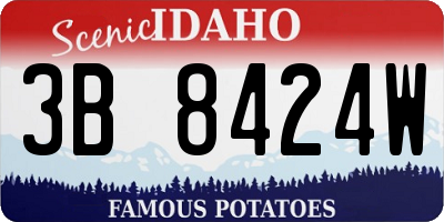 ID license plate 3B8424W