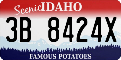 ID license plate 3B8424X