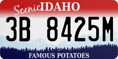 ID license plate 3B8425M