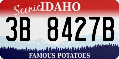 ID license plate 3B8427B