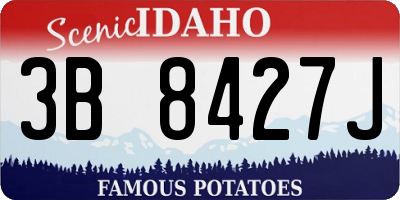 ID license plate 3B8427J