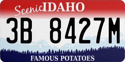 ID license plate 3B8427M