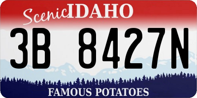 ID license plate 3B8427N