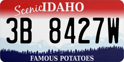 ID license plate 3B8427W
