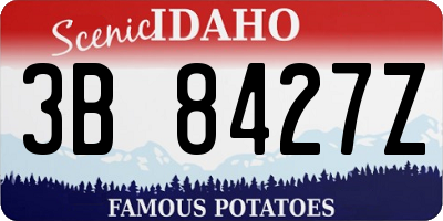 ID license plate 3B8427Z
