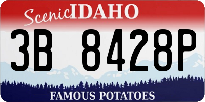 ID license plate 3B8428P