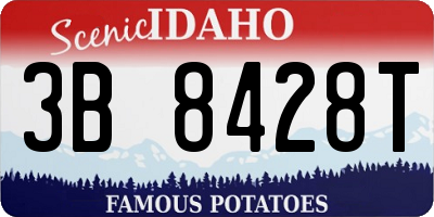 ID license plate 3B8428T