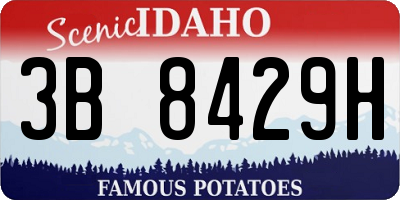 ID license plate 3B8429H