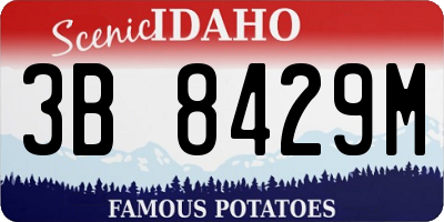 ID license plate 3B8429M
