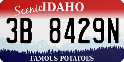 ID license plate 3B8429N