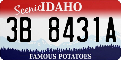 ID license plate 3B8431A