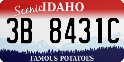 ID license plate 3B8431C