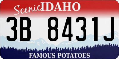 ID license plate 3B8431J