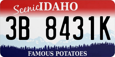 ID license plate 3B8431K