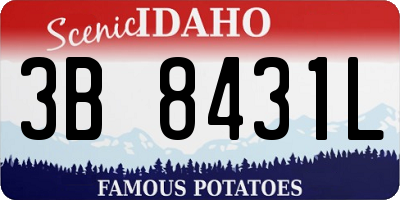 ID license plate 3B8431L