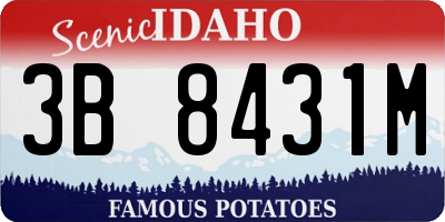 ID license plate 3B8431M