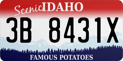 ID license plate 3B8431X