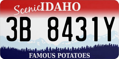 ID license plate 3B8431Y