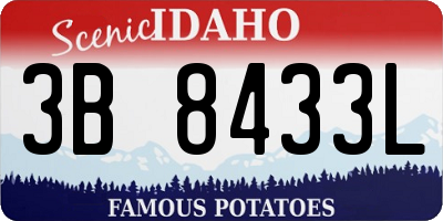 ID license plate 3B8433L