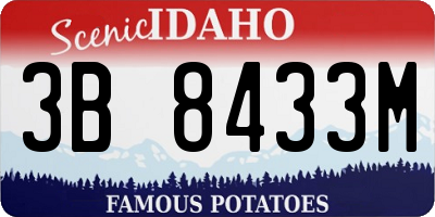 ID license plate 3B8433M