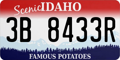 ID license plate 3B8433R