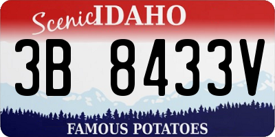 ID license plate 3B8433V