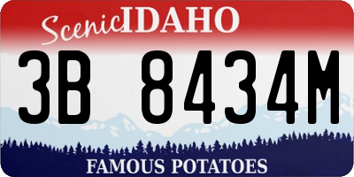 ID license plate 3B8434M
