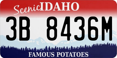 ID license plate 3B8436M