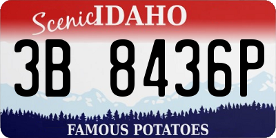 ID license plate 3B8436P