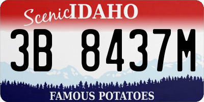 ID license plate 3B8437M