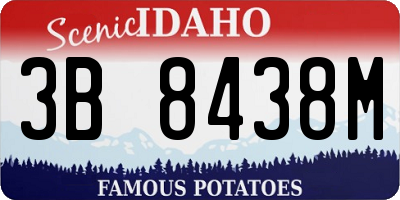 ID license plate 3B8438M