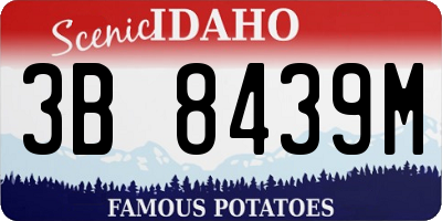 ID license plate 3B8439M