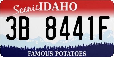 ID license plate 3B8441F