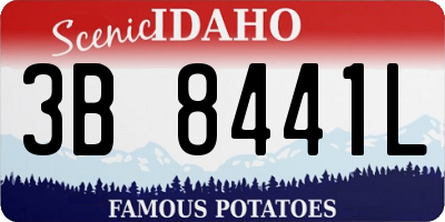 ID license plate 3B8441L