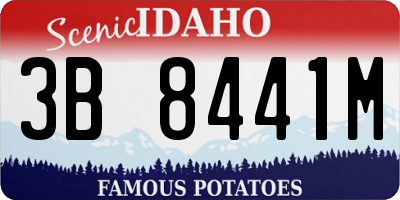 ID license plate 3B8441M