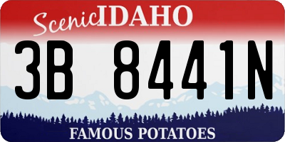 ID license plate 3B8441N