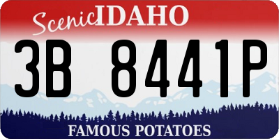ID license plate 3B8441P